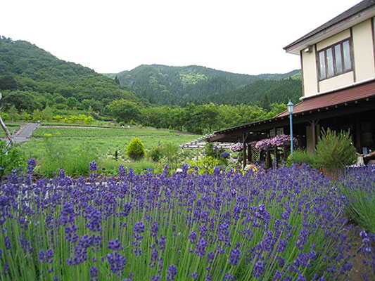 蒜山ハーブガーデン ハービル イオンマークのカードの優待特典