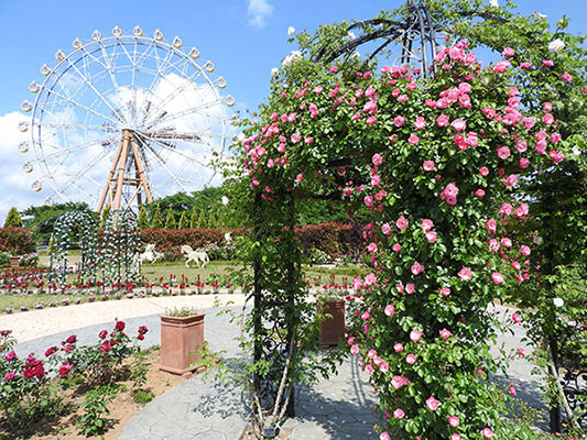 東武動物公園｜イオンマークのカードの優待特典