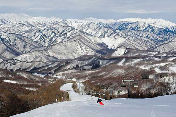水上宝台樹スキー場 イオンマークのカードの優待特典