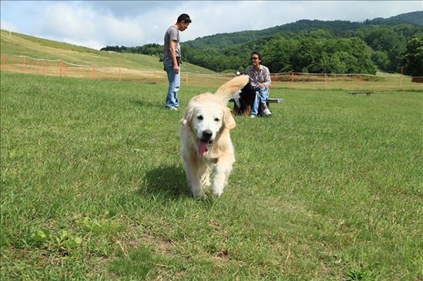函館七飯ゴンドラ イオンマークのカードの優待特典
