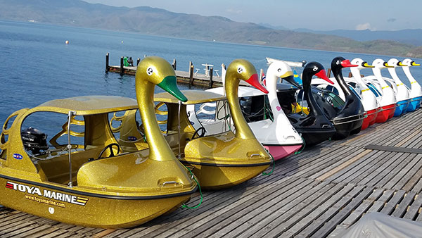 洞爺マリン イオンマークのカードの優待特典