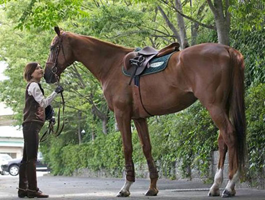 乗馬クラブクレイン イオンマークのカードの優待特典